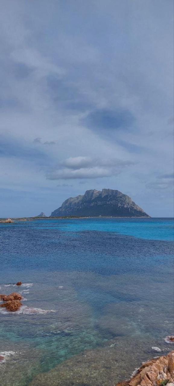 Porto San Paolo A 50 Mt Dal Mareヴィラ 部屋 写真