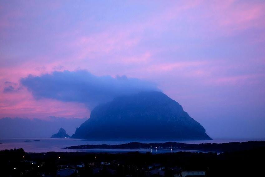 Porto San Paolo A 50 Mt Dal Mareヴィラ 部屋 写真