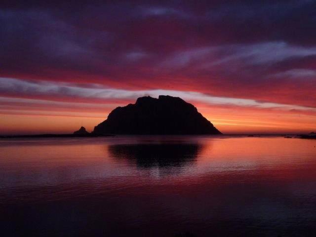 Porto San Paolo A 50 Mt Dal Mareヴィラ 部屋 写真