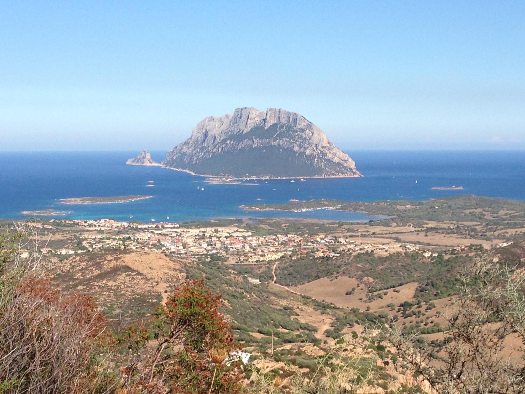 Porto San Paolo A 50 Mt Dal Mareヴィラ 部屋 写真